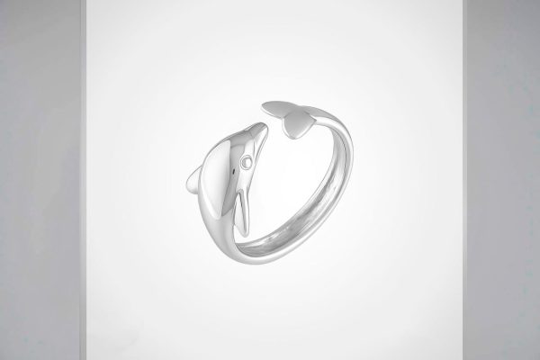 silver-premium-anillo-10830.jpg